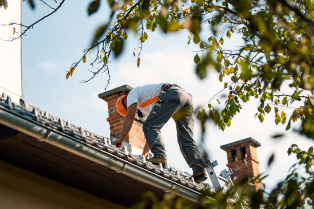 Best Roof Gutter Cleaning  in Rawlins, WY